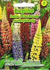 Lupine lulu mischung gebraucht kaufen  Wird an jeden Ort in Deutschland