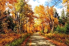 Fall foliage autumn for sale  Delivered anywhere in USA 