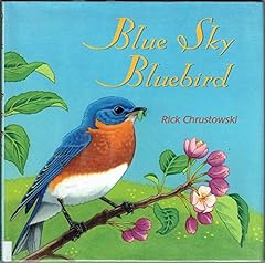 Blue sky bluebird gebraucht kaufen  Wird an jeden Ort in Deutschland