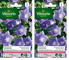 Vilmorin 5182541 campanule d'occasion  Livré partout en France