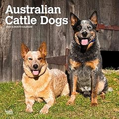 Australian cattle dogs for sale  Delivered anywhere in USA 