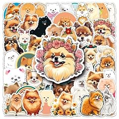 Pcs pomeranian dog for sale  Delivered anywhere in UK