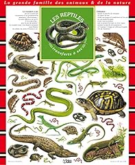 Reptiles transfert sec d'occasion  Livré partout en France