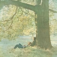 Plastic ono band usato  Spedito ovunque in Italia 