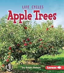 Apple trees for sale  Delivered anywhere in USA 
