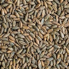 Rye berries pounds for sale  Delivered anywhere in USA 