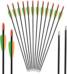 Toparchery 12er fiberglaspfeil gebraucht kaufen  Wird an jeden Ort in Deutschland