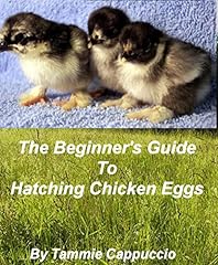 The Beginner's Guide to Hatching Chicken Eggs for sale  Delivered anywhere in UK