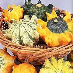 Zucca piccola forma usato  Spedito ovunque in Italia 