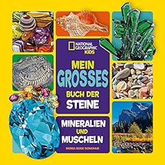 Großes buch steine gebraucht kaufen  Wird an jeden Ort in Deutschland