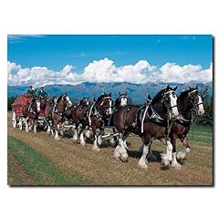 Clydesdales blue sky for sale  Delivered anywhere in USA 