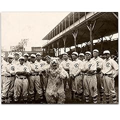 1908 chicago cubs for sale  Delivered anywhere in USA 