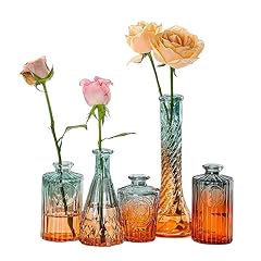 Raksonic vintage glass for sale  Delivered anywhere in USA 