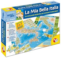 Liscianigiochi 26449 piccolo usato  Spedito ovunque in Italia 