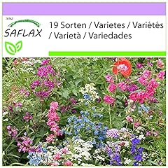 Saflax wildblumen schattengew� gebraucht kaufen  Wird an jeden Ort in Deutschland