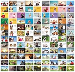 Clever pool postkarten gebraucht kaufen  Wird an jeden Ort in Deutschland