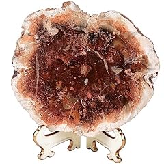 Amoystone large petrified for sale  Delivered anywhere in USA 