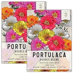 Seed needs portulaca for sale  Delivered anywhere in USA 