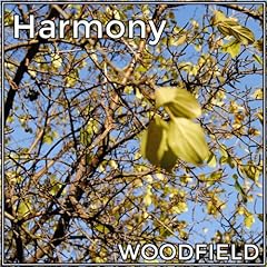 Harmony usato  Spedito ovunque in Italia 
