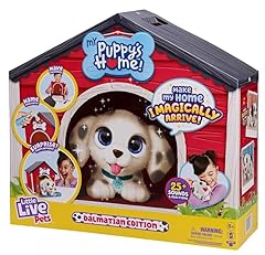 Little live pets for sale  Delivered anywhere in USA 