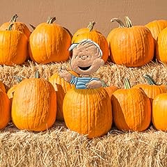 Peanuts pumpkin press for sale  Delivered anywhere in USA 
