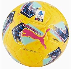 Vannisport pallone palla usato  Spedito ovunque in Italia 