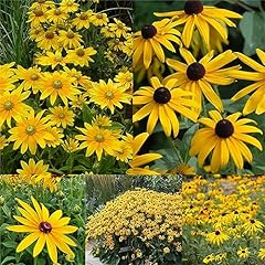 Garden plant seed for sale  Delivered anywhere in USA 