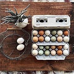 Egg cartons adorable for sale  Delivered anywhere in USA 