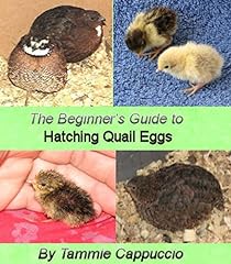 The Beginner's Guide to Hatching Quail Eggs for sale  Delivered anywhere in UK