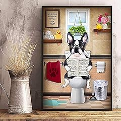 Unikei boston terriers for sale  Delivered anywhere in USA 
