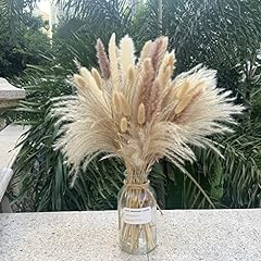 Pampas grass decor for sale  Delivered anywhere in USA 