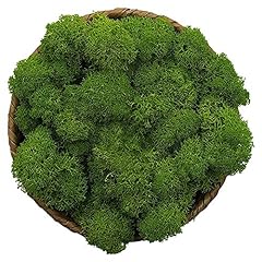 Stardom moss preserved for sale  Delivered anywhere in USA 