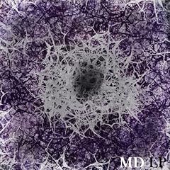MD for sale  Delivered anywhere in UK