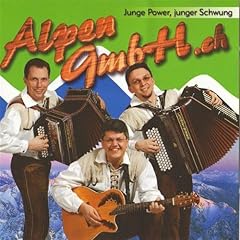 Lanzinger power gebraucht kaufen  Wird an jeden Ort in Deutschland