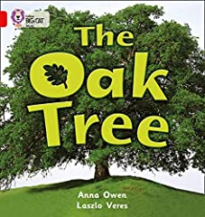 Oak tree non for sale  Delivered anywhere in Ireland