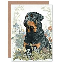 Artery8 rottweiler dog for sale  Delivered anywhere in UK