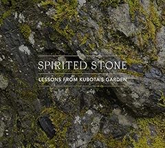 Spirited stone lessons for sale  Delivered anywhere in USA 