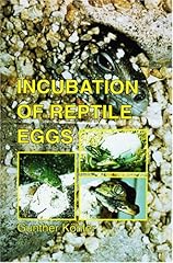 Incubation reptile eggs d'occasion  Livré partout en Belgiqu
