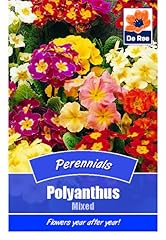 Polyanthus mixed perennials for sale  Delivered anywhere in UK