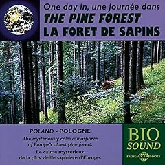 Sons nature forêt d'occasion  Livré partout en France