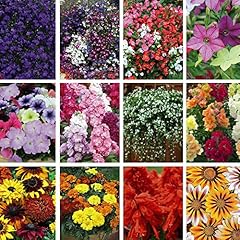 Nurseryman choice annual for sale  Delivered anywhere in UK