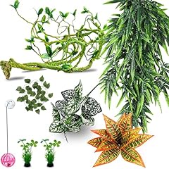 Mechpia repitle plants for sale  Delivered anywhere in USA 