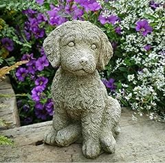 Cockapoo puppy dog for sale  Delivered anywhere in Ireland