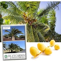 Canary island date for sale  Delivered anywhere in USA 
