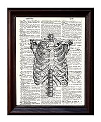 Fresh Prints of CT Anatomical Human Rib Cage - Printed for sale  Delivered anywhere in Canada