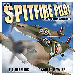 Wwii spitfire pilot for sale  Delivered anywhere in USA 