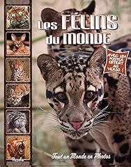 Félins d'occasion  Livré partout en France