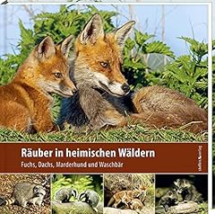 Räuber heimischen wäldern gebraucht kaufen  Wird an jeden Ort in Deutschland