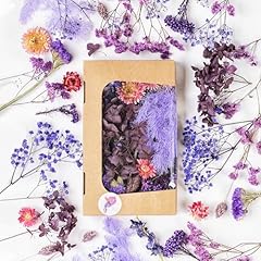 Fleurs séchées qualité d'occasion  Livré partout en Belgiqu