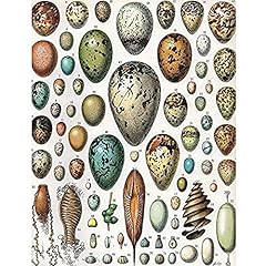 Artery8 millot encyclopedia for sale  Delivered anywhere in UK